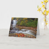 Looking Glass Falls Pisgah National Forest Kaart (Gele Bloem)