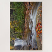 Looking Glass Falls Pisgah National Forest Legpuzzel (Verticaal)