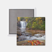Looking Glass Falls Pisgah National Forest Magneet (Voorkant / Achterkant)