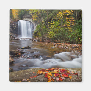 Looking Glass Falls Pisgah National Forest Magneet