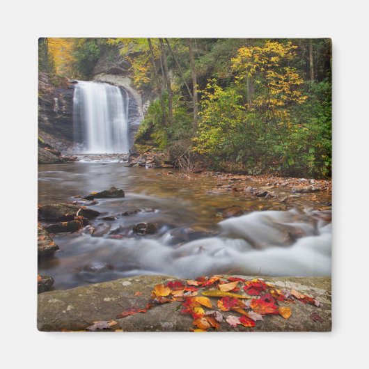 Looking Glass Falls Pisgah National Forest Magneet (Voorkant)