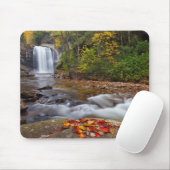 Looking Glass Falls Pisgah National Forest Muismat (Met muis)