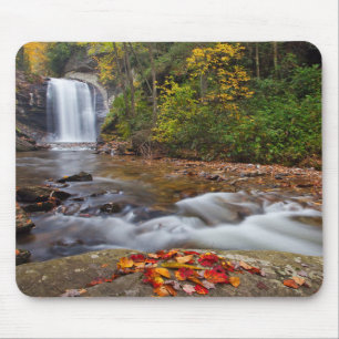 Looking Glass Falls Pisgah National Forest Muismat