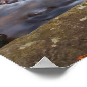 Looking Glass Falls Pisgah National Forest Poster (Hoek)