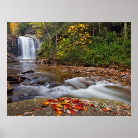Looking Glass Falls Pisgah National Forest Poster (Voorkant)
