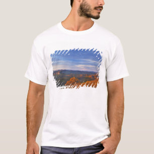 Looking Glass Rock bij zonsopgang in de Pisgah T-shirt