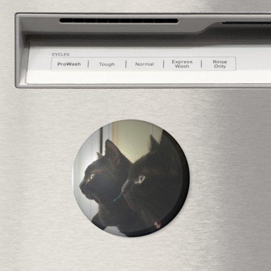 looking out the window magneet (Insitu (Vaatwasser))