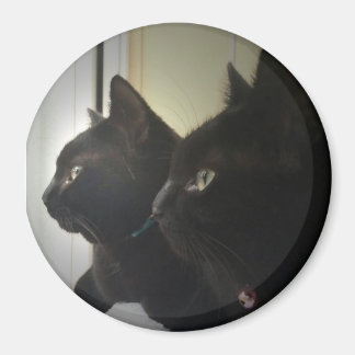 looking out the window magneet