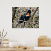 Looking Poster (Keuken)