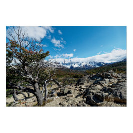 Looking towards Mt Fizroy Perfect Poster