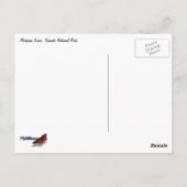 Looking Up at Mariposa Grove Briefkaart (Achterkant)