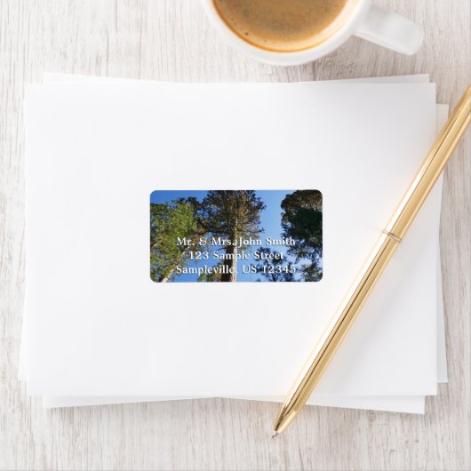 Looking Up at Mariposa Grove Etiket (Insitu)