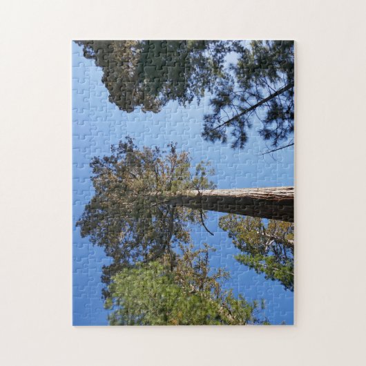 Looking Up at Mariposa Grove Legpuzzel (Verticaal)