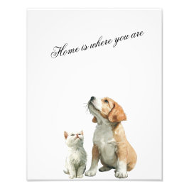 Looking Up at You – Home Is Where You Are Foto Afdruk