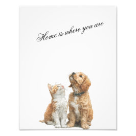 Looking Up at You – Home Is Where You Are Foto Afdruk