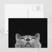 Looking up - Postcard Briefkaart (Voorkant / Achterkant)