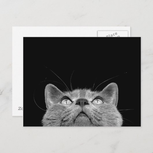 Looking up - Postcard Briefkaart (Voorkant / Achterkant)