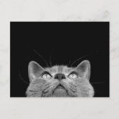 Looking up - Postcard Briefkaart (Voorkant)