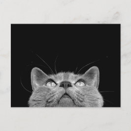 Looking up - Postcard Briefkaart