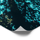 LOOKING UP POSTER (Hoek)