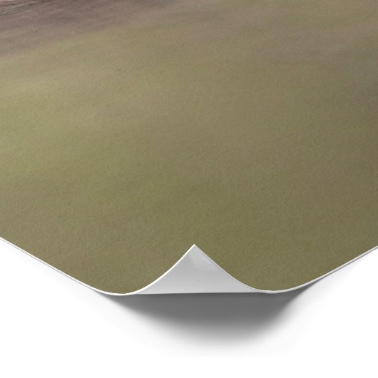 Loon Adult Feeds Chick Poster (Hoek)