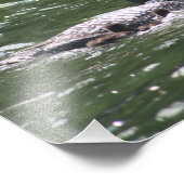 Loon Babies 2 Foto Afdruk (Hoek)