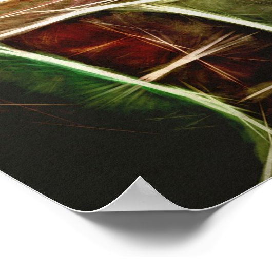 Loon Birds Poster (Hoek)