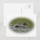 Loon Briefkaart (Voorkant / Achterkant)