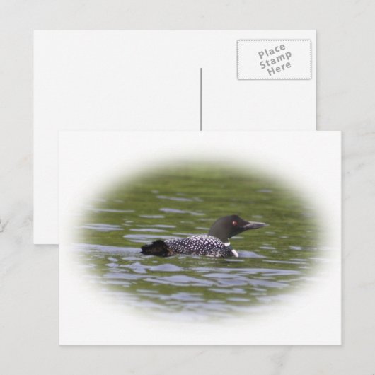 Loon Briefkaart (Voorkant / Achterkant)