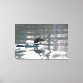 Loon Canvas Print