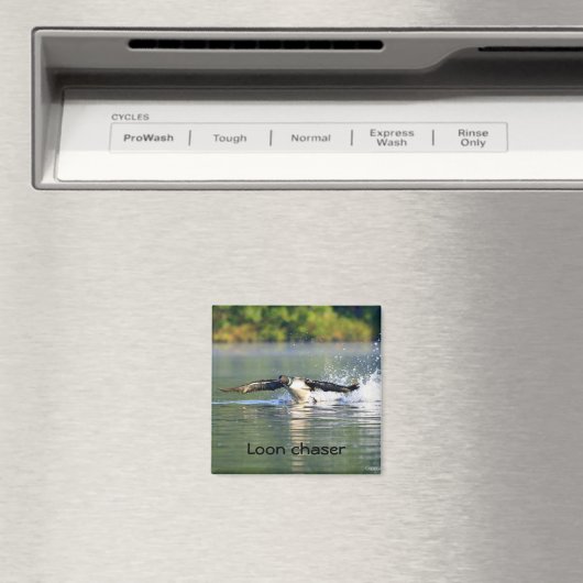 Loon chaser magneet (Insitu (Vaatwasser))