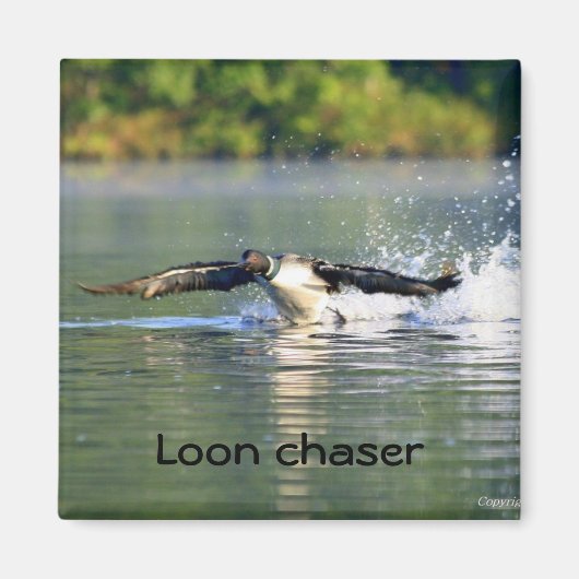 Loon chaser magneet (Voorkant)