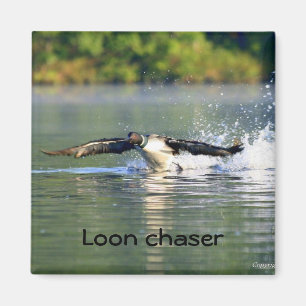 Loon-chaser Magnet