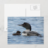 Loon en baby briefkaart (Voorkant / Achterkant)