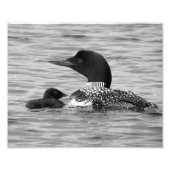 Loon en baby foto afdruk (Voorkant)