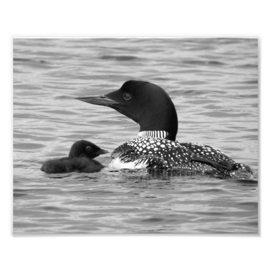 Loon en baby foto afdruk (Voorkant)