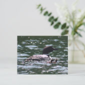 Loon en twee baby's briefkaart (Staand voorkant)
