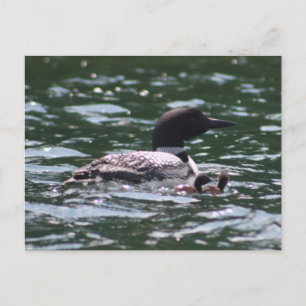 Loon en twee baby's briefkaart