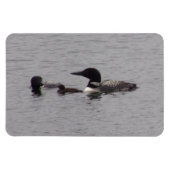Loon Familie op het meer Flexibele Magnet Magneet (Horizontaal)
