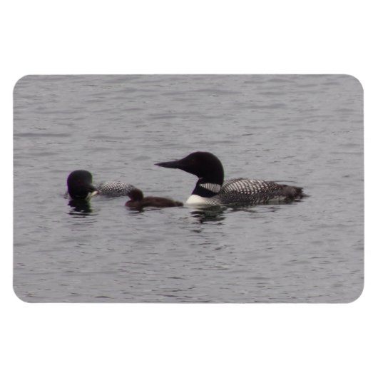 Loon Familie op het meer Flexibele Magnet Magneet (Horizontaal)