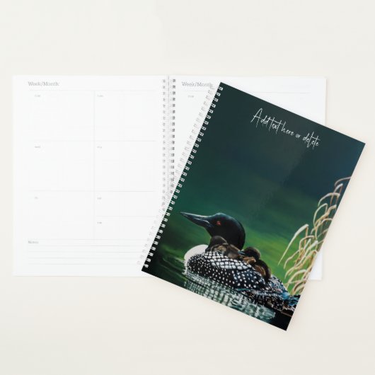 Loon Family Outing Planner (Display)