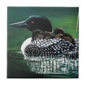 Loon Family Outing Tegeltje (Voorkant)