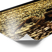 Loon Foto Afdruk (Hoek)