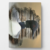 Loon Fotoplaat (voorkant)