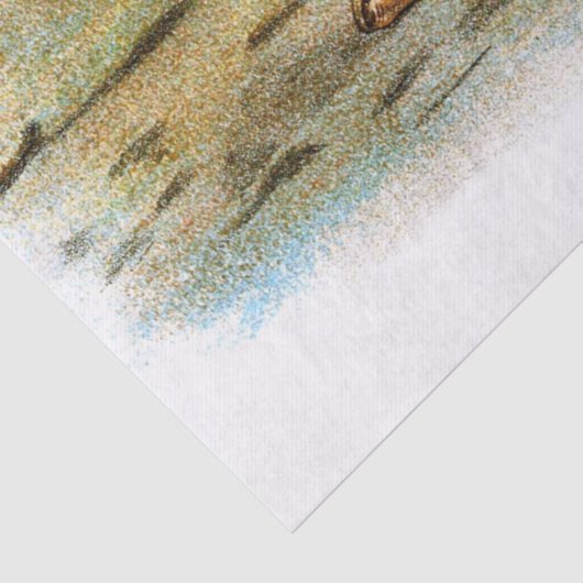  Loon Illustratie ontkoppeling Tissuepapier (Detail)