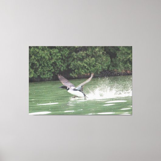 Loon klaar voor de vlucht canvas afdruk (Voorkant)