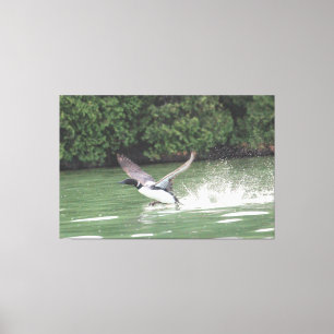 Loon klaar voor de vlucht canvas afdruk