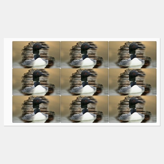 Loon Labels (Vel)