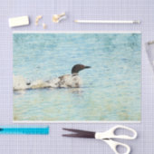 Loon Lake Tissue Paper Tissuepapier (Craft)