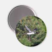 Loon Magnet (Voorkant / Achterkant)